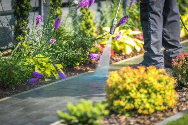 Best Patio and Deck Pressure Washing  in Callaway, FL